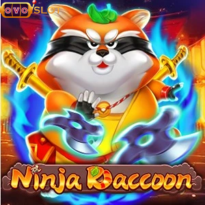 Ninja Raccoon