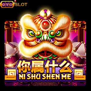 nishushenme