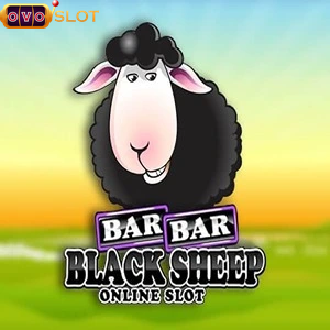 Bar Bar black sheep