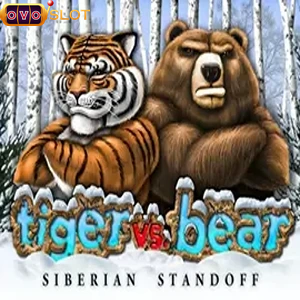 Tiger vs Bear