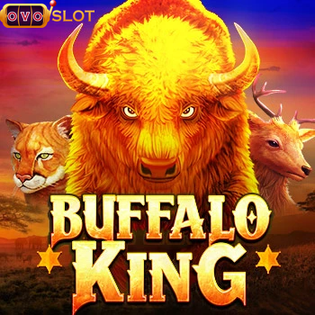 buffalo king