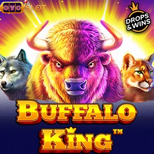 Buffalo King