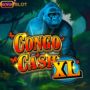 congo cash xl