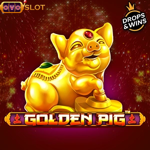 Golden Pig